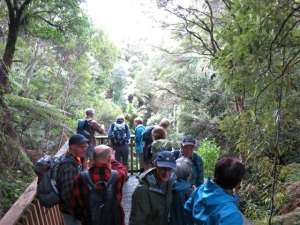 Image of 1305 kawhia 048.jpg