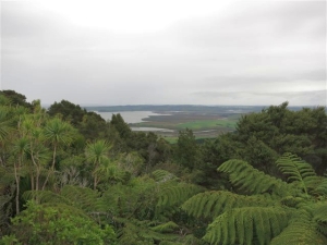 Image of 1305 kawhia 052.jpg