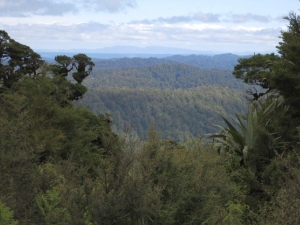 Image of 1402coro 078.jpg