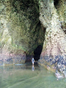 Image of 1451357_10151982521664153_1244158599_n.jpg