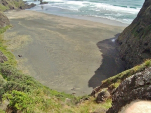 Image of 1456028_10151982517559153_383595504_n.jpg