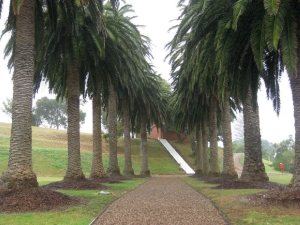 Image of 1780627_10152684314689896_426761661_n.jpg