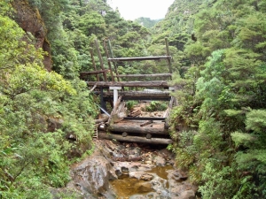 Image of 190452_10151580907614153_1970799291_n.jpg