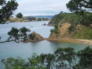 Image of 1975014_10152684334649896_1221664780_n.jpg