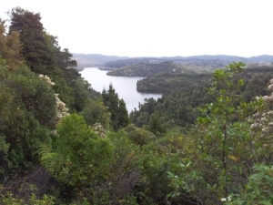 Image of 20121007_161906.jpg