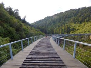 Image of 246471_101.jpg