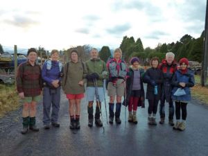 Image of 248066_101.jpg