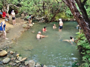 Image of 262512_10151580908494153_689167369_n.jpg