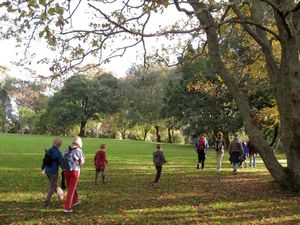 Image of 3kings09fbreserve.jpg