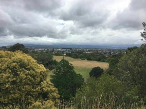 Image of 3kingsfeb17b.jpg