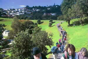 Image of 3kingstrackq.jpg