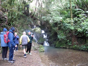 Image of 40annivcampbb.jpg