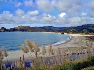 Image of 428643_10151580908644153_806339575_n.jpg