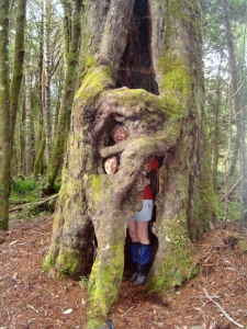 Image of 515_10151982492269153_1575383359_n.jpg