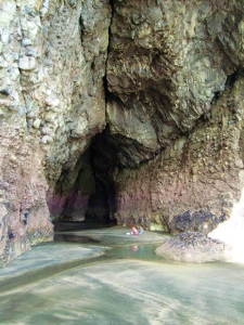 Image of 575750_10151982521969153_1500329802_n.jpg