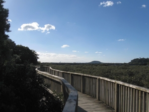 Image of ab walkway.jpg