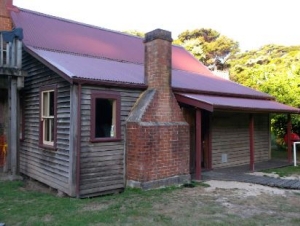 Image of abeltasman16g.jpg