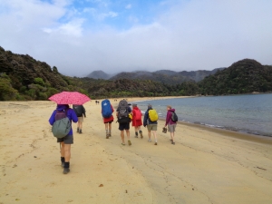 Image of abeltasman16i.jpg