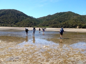 Image of abeltasman16m.jpg