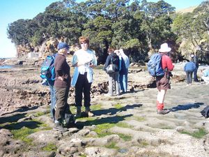 Image of abtcpakiri04lookingatrockpool.jpg