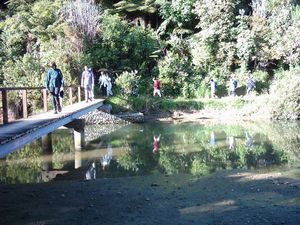 Image of abtcpakiri04omahacove3.jpg