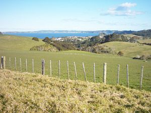 Image of abtcpakiri04viewofleigh.jpg