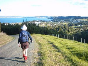 Image of abtcpakiri04viewofliegh2.jpg