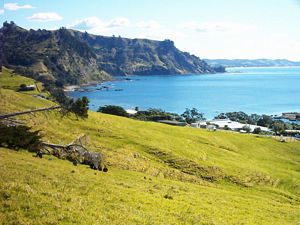 Image of abtcpakiri04walkwayviewgoatisland.jpg