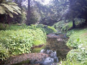 Image of abtcpukekohe04clearstream3.jpg