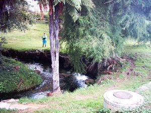 Image of abtcpukekohe04clearstream4.jpg