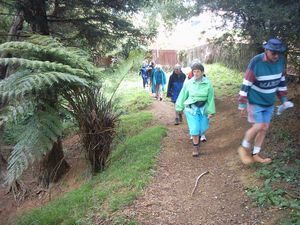 Image of abtcpukekohe04greenbelt2.jpg