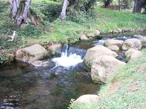 Image of abtcpukekohe04miniwaterfall.jpg