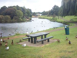 Image of abtcpukekohe04pond.jpg