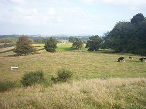 Image of abtcpukekohe04reservoirview2.jpg
