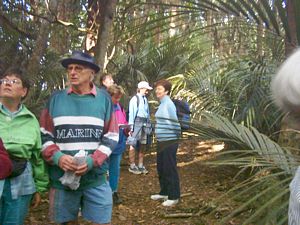 Image of abtcpukekohe04roosevillebush4.jpg