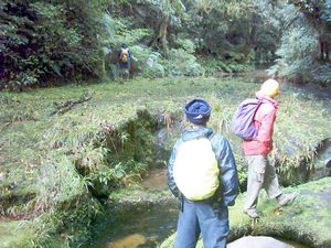 Image of abtcrotoruajubilee04kakapowalkstream5.jpg