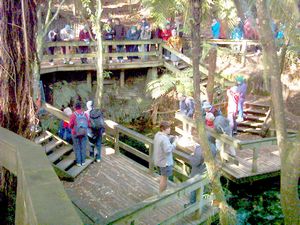 Image of abtcrotoruajubilee04processionsprings.jpg