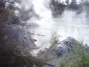 Image of abtcrotoruajubilee04waiotapumudpool.jpg