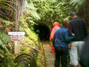 Image of abtcw4snihotupu04bushtunnel.jpg