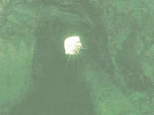 Image of abtcw4snihotupu04insidetunnel.jpg