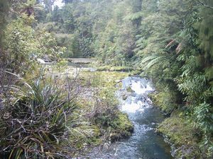 Image of abtcw4snihotupu04nihotupustream.jpg