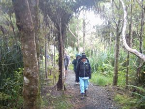 Image of abtcw4snihotupu04settingout.jpg