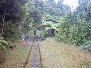 Image of abtcw4snihotupu04tramline3.jpg