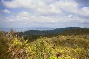 Image of adamslookoutviewq.jpg