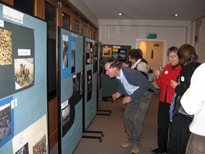 Image of agm09cdmixnmingle.jpg