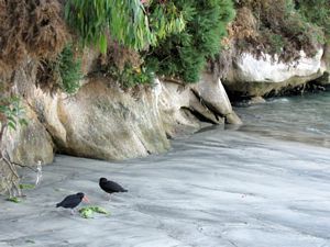 Image of aharwoodse.jpg