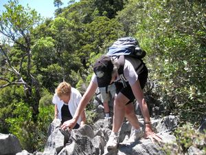 Image of aharwoodsp.jpg