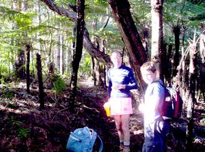 Image of ahkarekare07catrack.jpg