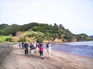 Image of aiawhitu07abwattlebay.jpg