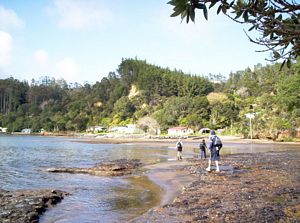 Image of aiawhitu07baoruabay.jpg